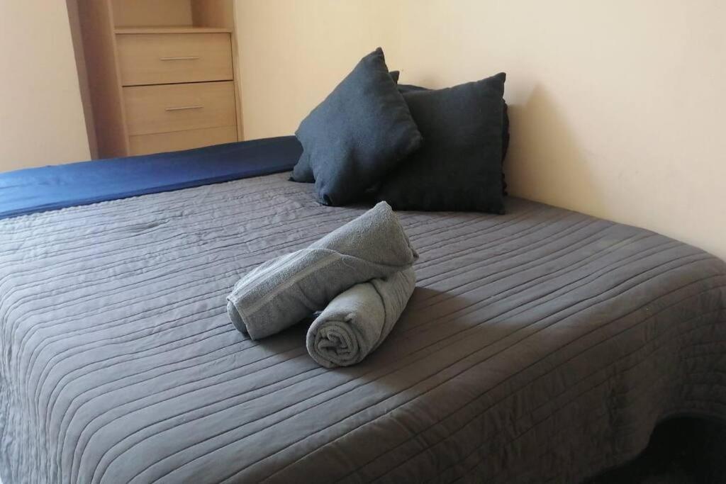 شقة Downtown Depto Con Terraza Privada مدينة مكسيكو المظهر الخارجي الصورة